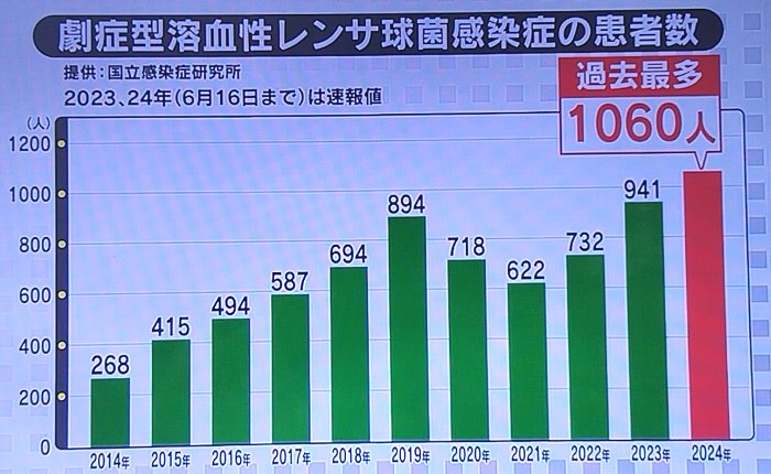 人食いバクテリア症状と対策